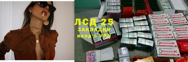 спайс Алзамай