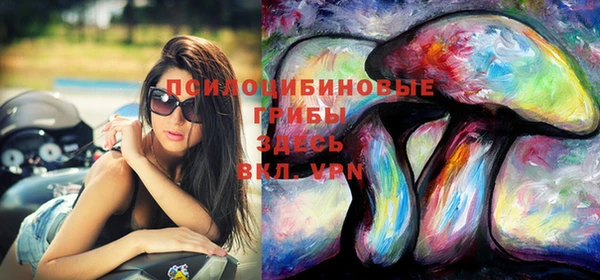 МДМА Алексеевка