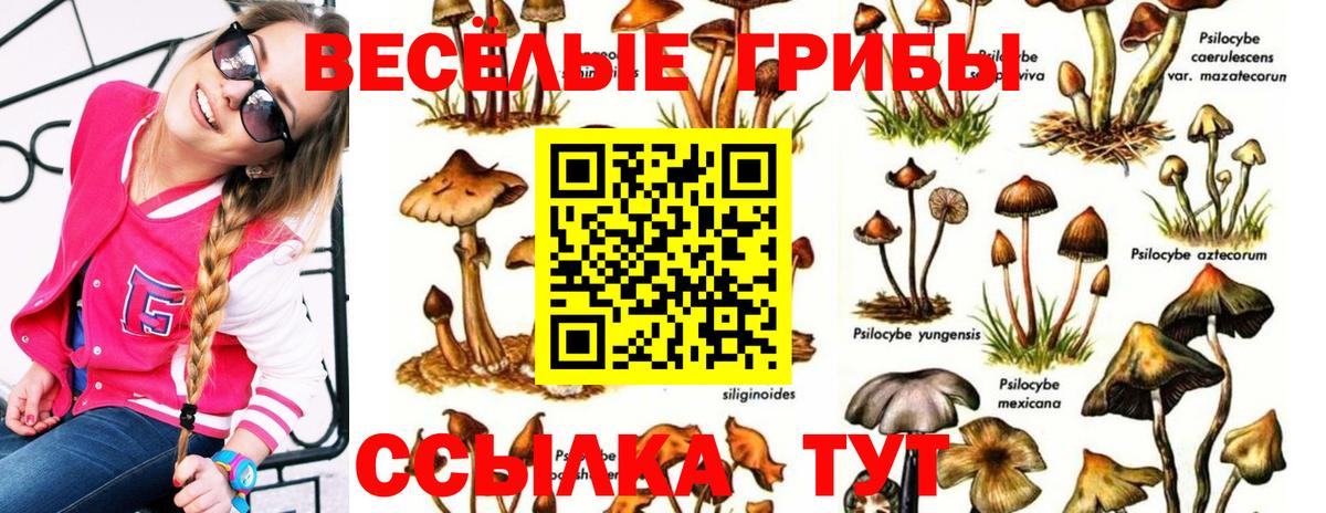 Галлюциногенные грибы мицелий Нефтекамск