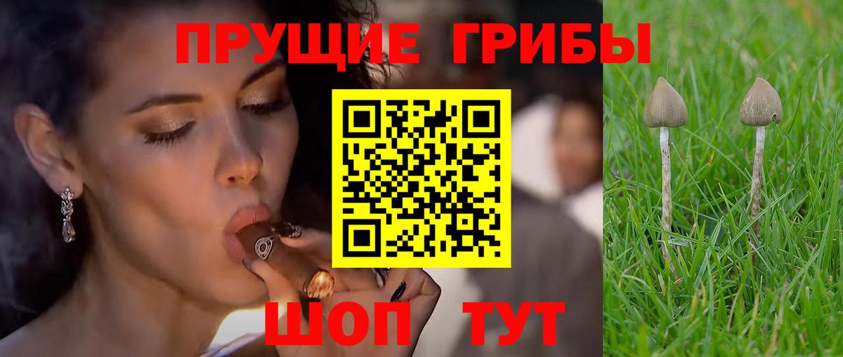 цена наркотик  Псилоцибиновые грибы Cubensis  Вход с VPN  Нефтекамск 